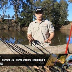 complete-guide-murray-cod-gear2