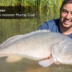 murray-cod-rivers8
