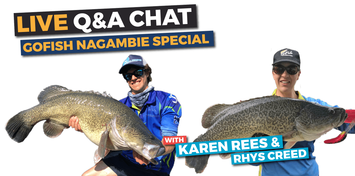 LIVE-Q&A-Graphics